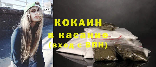 твердый Снежинск