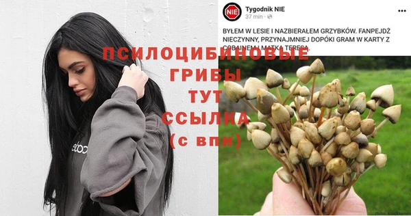синтетический гашиш Баксан